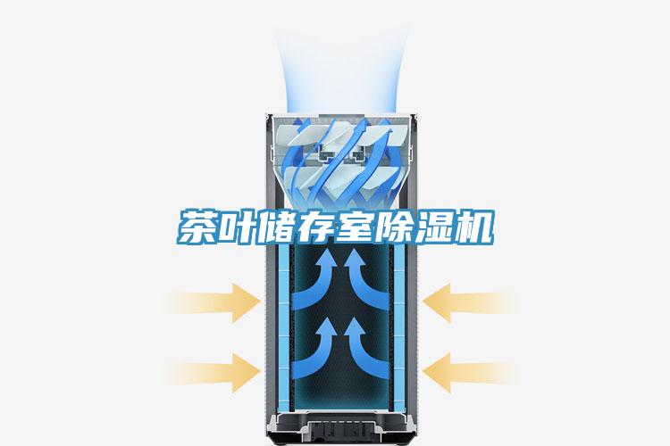 茶叶储存室小黄片直播视频