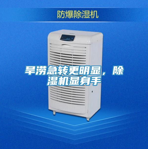 旱涝急转更明显，小黄片直播视频显身手