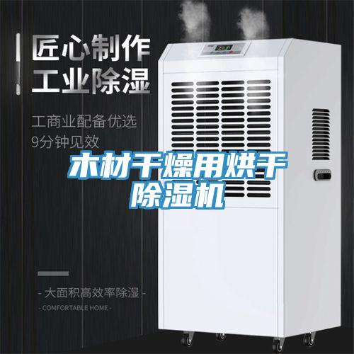 木材干燥用烘干小黄片直播视频