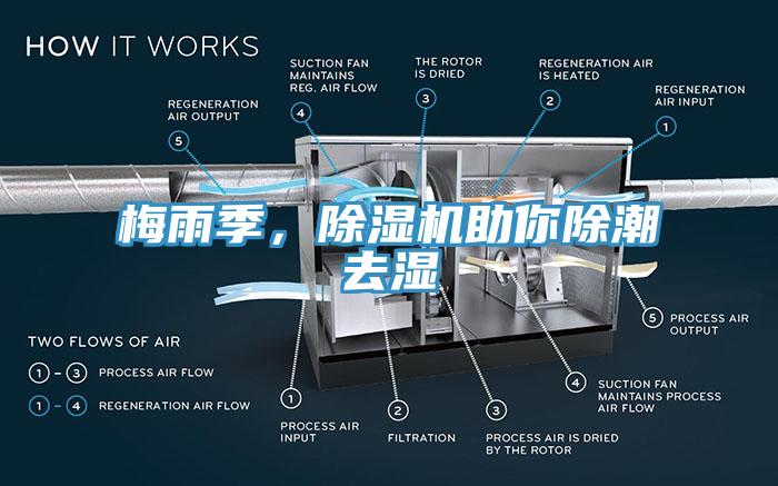 梅雨季，小黄片直播视频助你除潮去湿