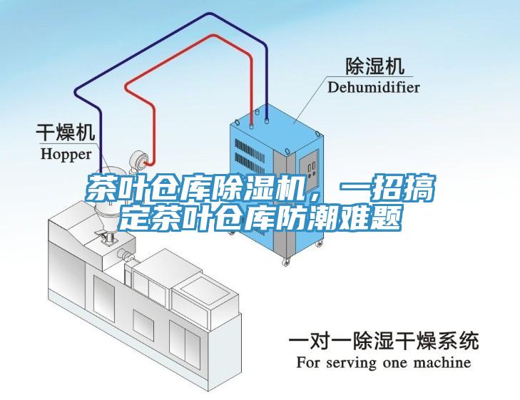 茶叶仓库小黄片直播视频，一招搞定茶叶仓库防潮难题