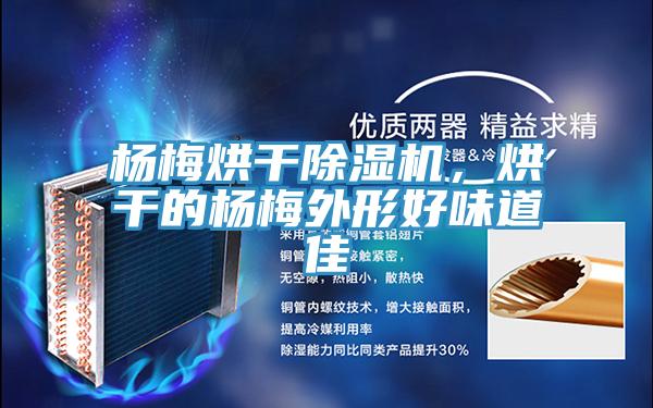 杨梅烘干小黄片直播视频，烘干的杨梅外形好味道佳