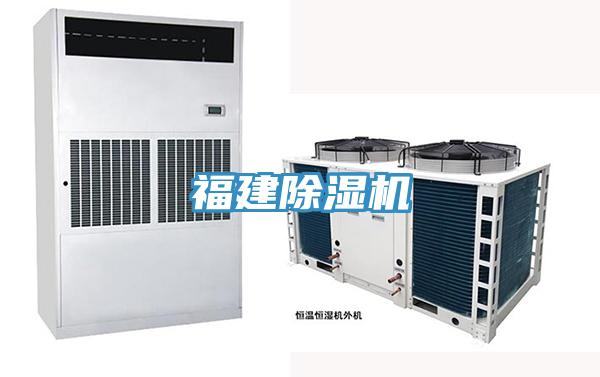 福建小黄片直播视频