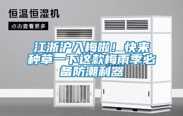 江浙沪入梅啦！快来种草一下这款梅雨季必备防潮利器