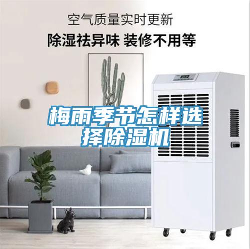 梅雨季节怎样选择小黄片直播视频