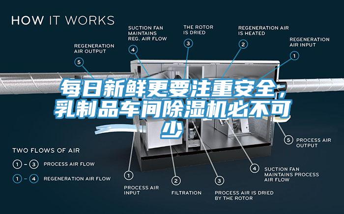 每日新鲜更要注重安全，乳制品车间小黄片直播视频必不可少