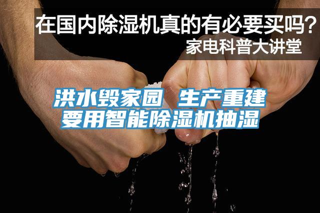 洪水毁家园 生产重建要用智能小黄片直播视频抽湿