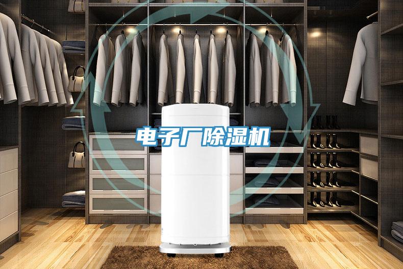 电子厂小黄片直播视频