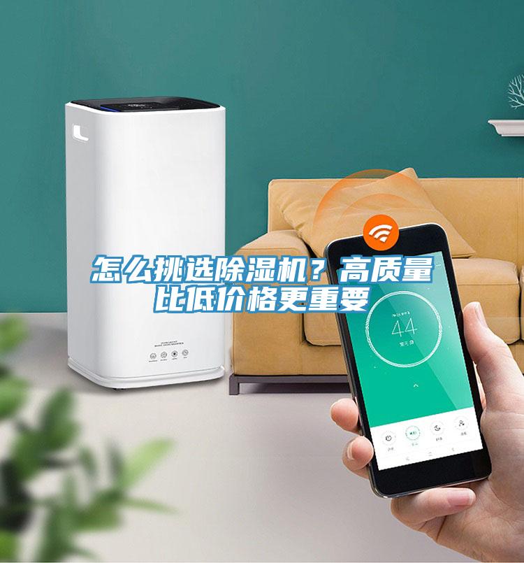 怎么挑选小黄片直播视频？高质量比低价格更重要
