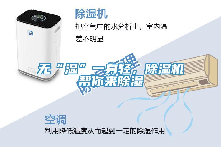 无“湿”一身轻，小黄片直播视频帮你来除湿