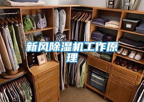 新风小黄片直播视频工作原理