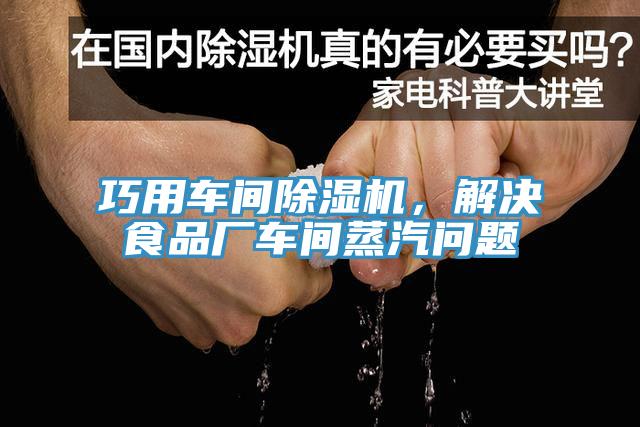 巧用车间小黄片直播视频，解决食品厂车间蒸汽问题