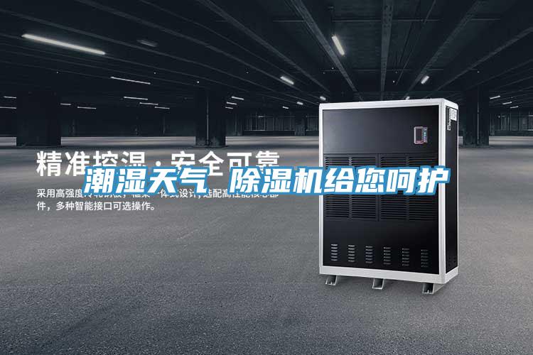 潮湿天气 小黄片直播视频给您呵护
