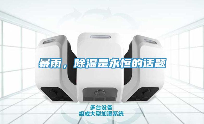 暴雨，除湿是永恒的话题