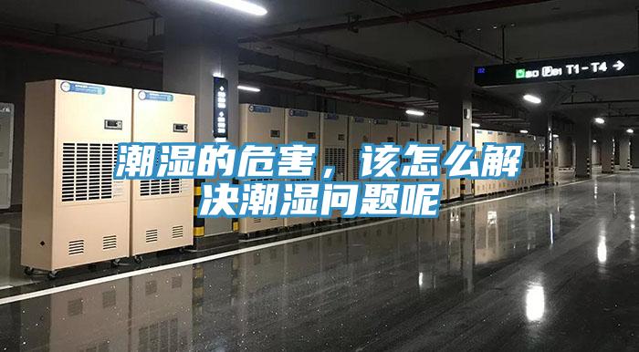 潮湿的危害，该怎么解决潮湿问题呢