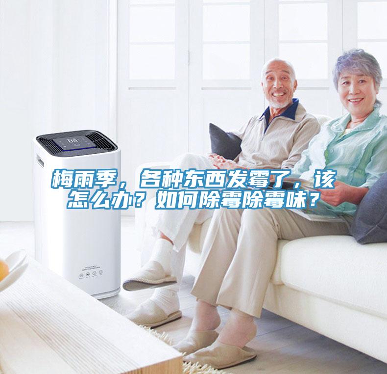 梅雨季，各种东西发霉了，该怎么办？如何除霉除霉味？