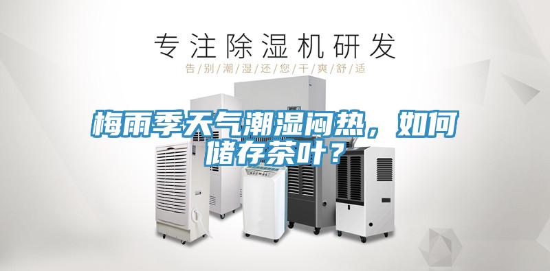 梅雨季天气潮湿闷热，如何储存茶叶？