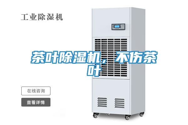 茶叶小黄片直播视频，不伤茶叶