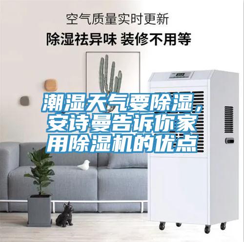 潮湿天气要除湿，午夜小黄片APP告诉你家用小黄片直播视频的优点