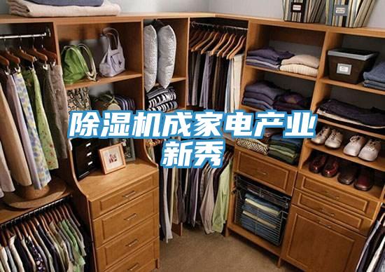 小黄片直播视频成家电产业新秀