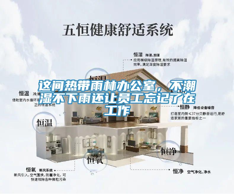 这间热带雨林办公室，不潮湿不下雨还让员工忘记了在工作