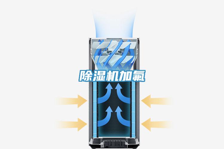 小黄片直播视频加氟