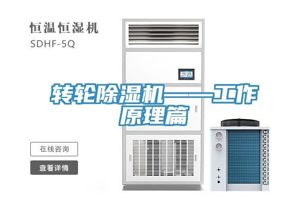 转轮小黄片直播视频——工作原理篇