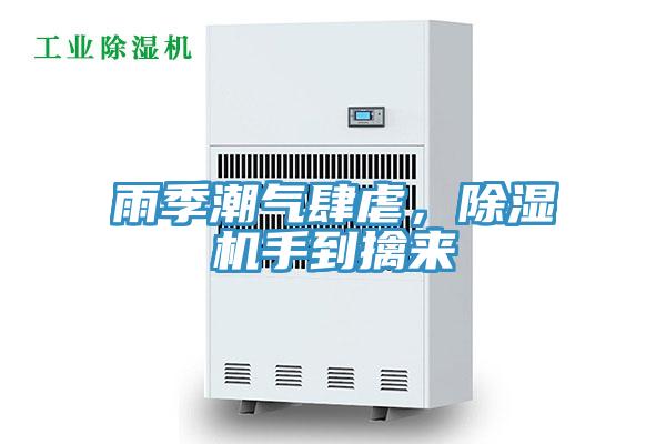 雨季潮气肆虐，小黄片直播视频手到擒来