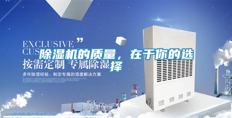 小黄片直播视频的质量，在于你的选择