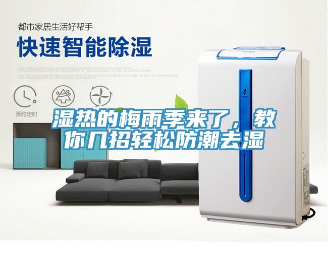 湿热的梅雨季来了，教你几招轻松防潮去湿