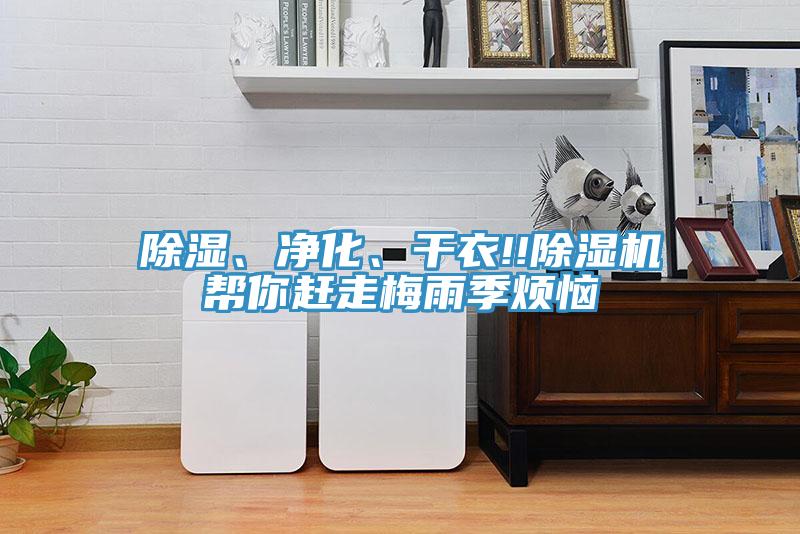 除湿、净化、干衣!!小黄片直播视频帮你赶走梅雨季烦恼