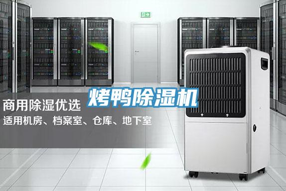 烤鸭小黄片直播视频