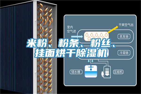 米粉、粉条、粉丝、挂面烘干小黄片直播视频