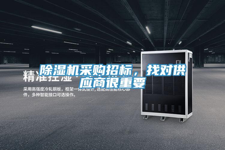 小黄片直播视频采购招标，找对供应商很重要