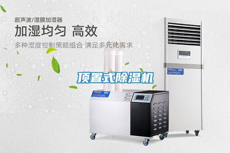 顶置式小黄片直播视频