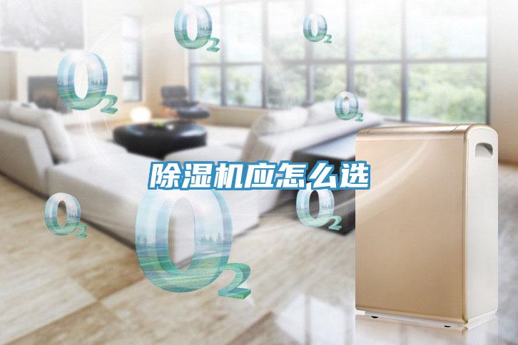 小黄片直播视频应怎么选