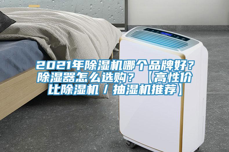 2021年小黄片直播视频哪个品牌好？除湿器怎么选购？【高性价比小黄片直播视频／抽湿机推荐】