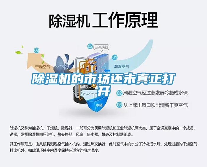 小黄片直播视频的市场还未真正打开