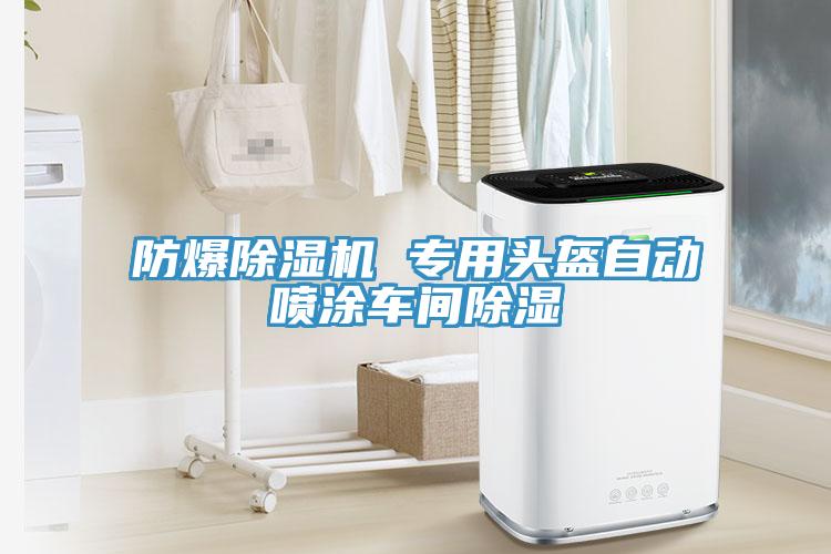 防爆小黄片直播视频 专用头盔自动喷涂车间除湿