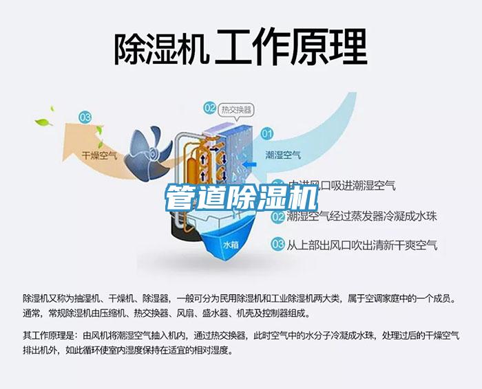 管道小黄片直播视频
