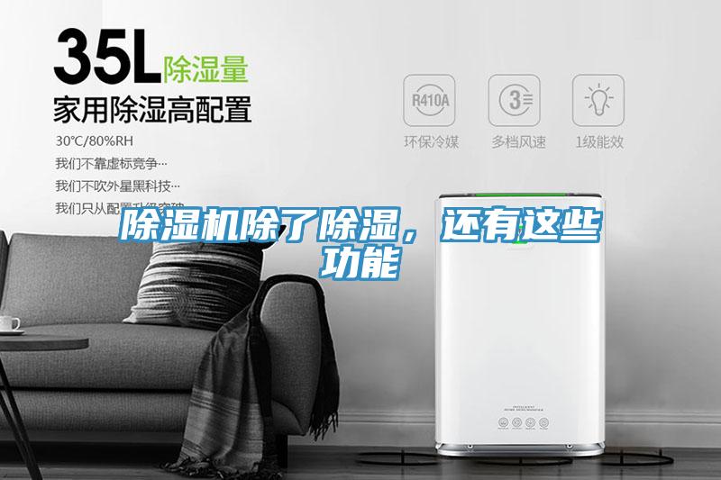 小黄片直播视频除了除湿，还有这些功能