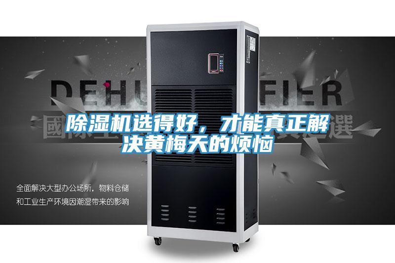 小黄片直播视频选得好，才能真正解决黄梅天的烦恼
