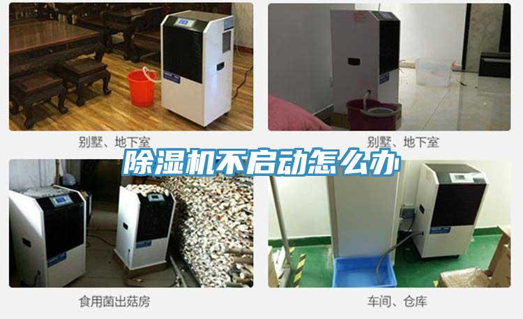 小黄片直播视频不启动怎么办