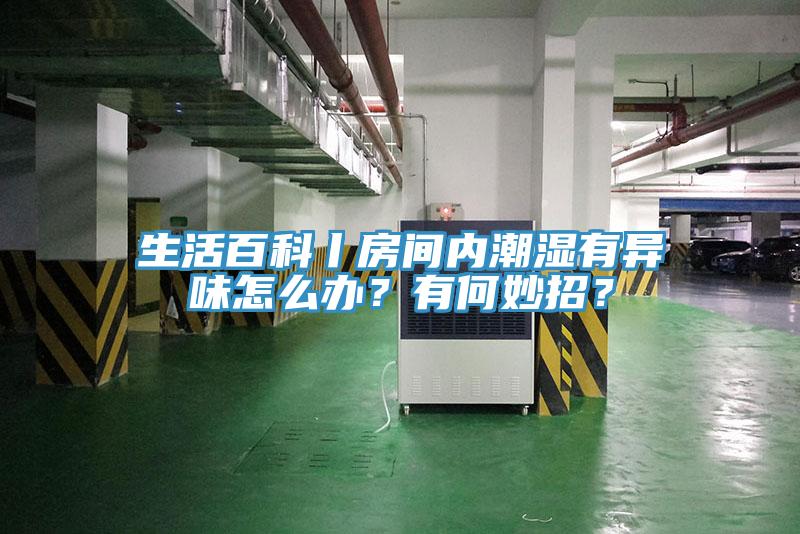 生活百科丨房间内潮湿有异味怎么办？有何妙招？