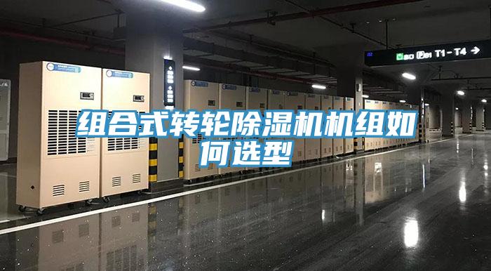 组合式转轮小黄片直播视频机组如何选型