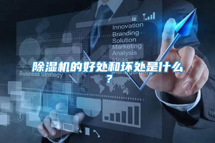 小黄片直播视频的好处和坏处是什么？