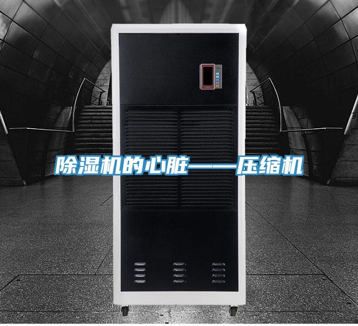 小黄片直播视频的心脏——压缩机