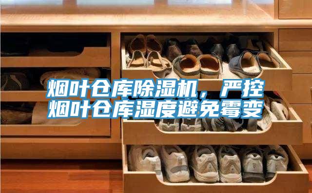 烟叶仓库小黄片直播视频，严控烟叶仓库湿度避免霉变