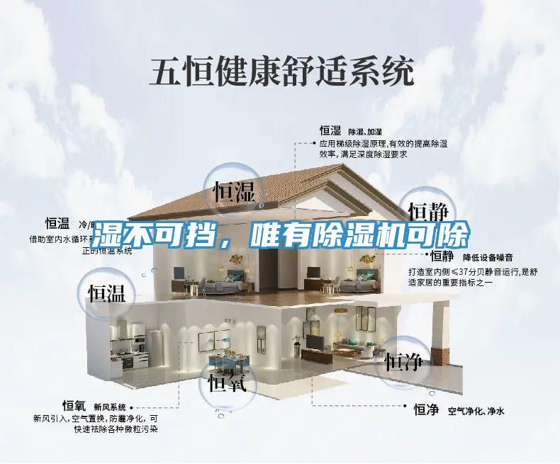 湿不可挡，唯有小黄片直播视频可除