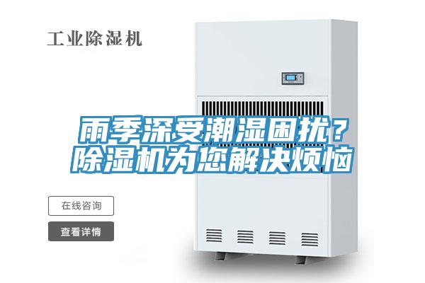 雨季深受潮湿困扰？小黄片直播视频为您解决烦恼